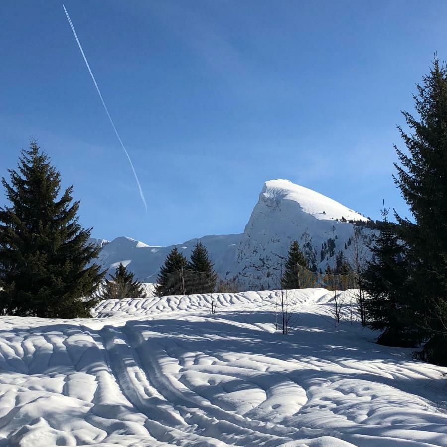 L'Ours Blanc Lodge Le Biot Eksteriør bilde